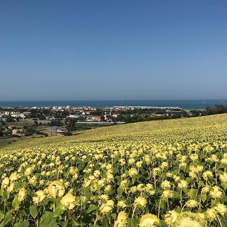 Agricampeggio Abbruzzetti Marina Palmense Kültér fotó