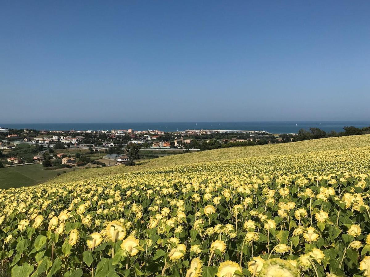 Agricampeggio Abbruzzetti Marina Palmense Kültér fotó